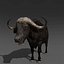 Pacote Animal Colossal HD - Animado1