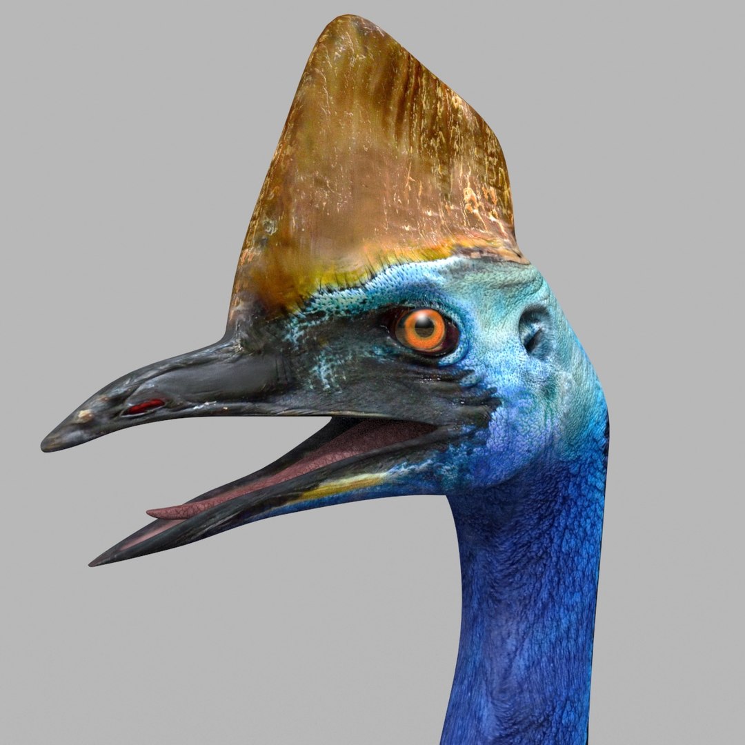 3D Colossal Animal Pack HD - Animated1 https://p.turbosquid.com/ts-thumb/2E/v8jgUP/Rs/3006/jpg/1708458336/1920x1080/fit_q87/3bd630fd70370d6e99cf71e4a57717969aeaa865/3006.jpg