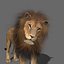 Pacote Animal Colossal HD - Animado1