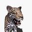 Pacote Animal Colossal HD - Animado1