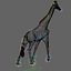 Pacote Animal Colossal HD - Animado1