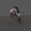 Pacote Animal Colossal HD - Animado1