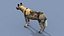 Pacote Animal Colossal HD - Animado1