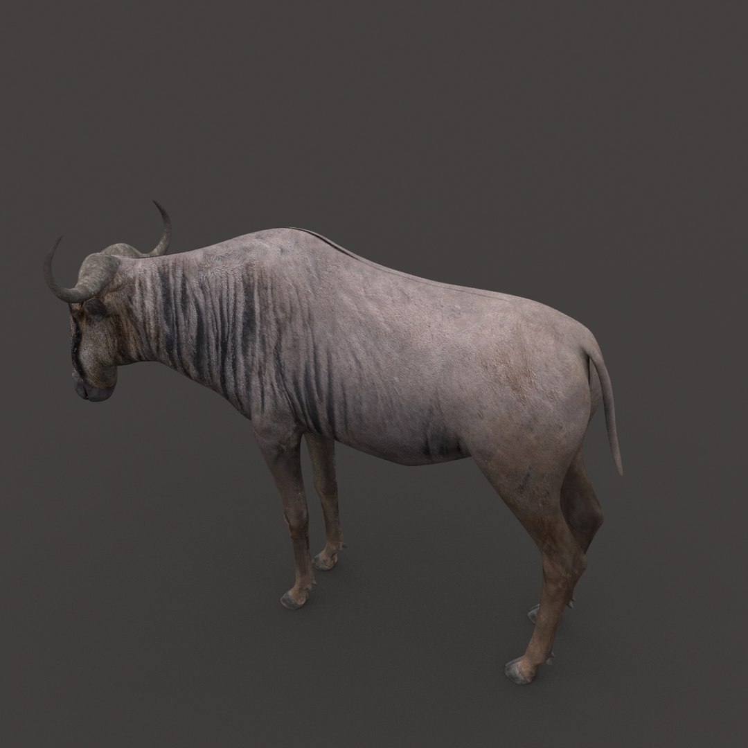 3D Colossal Animal Pack HD - Animated1 https://p.turbosquid.com/ts-thumb/2E/v8jgUP/VC/77/jpg/1662068989/1920x1080/fit_q87/1746ab39151a62bb028fb4f704f68aa8a8219cd2/77.jpg