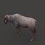 Pacote Animal Colossal HD - Animado1