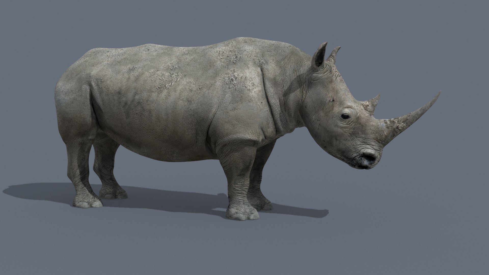 3D Colossal Animal Pack HD - Animated1 https://p.turbosquid.com/ts-thumb/2E/v8jgUP/VC/9/jpg/1662065824/1920x1080/fit_q87/b75e012d12c796b646298825dd283f196f358f53/9.jpg