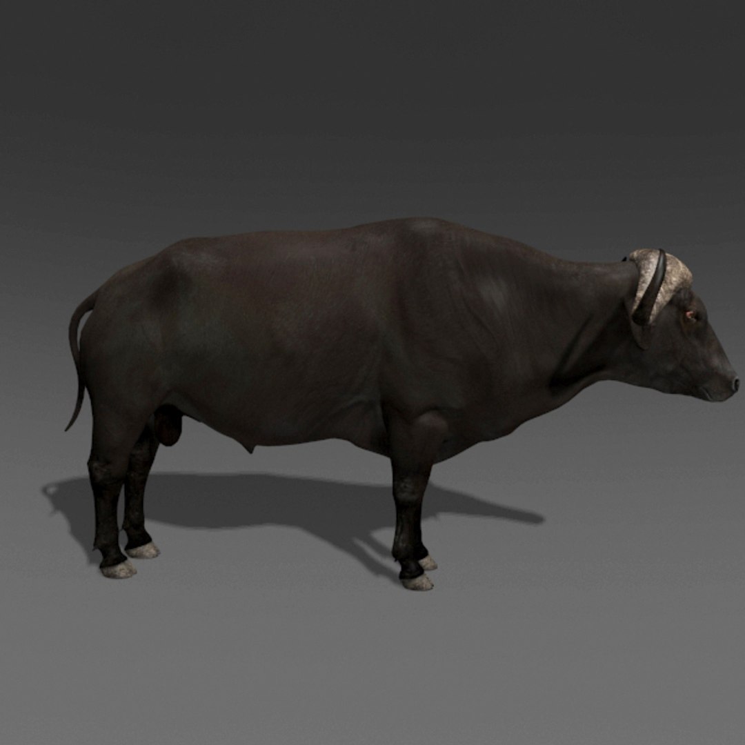3D Colossal Animal Pack HD - Animated1 https://p.turbosquid.com/ts-thumb/2E/v8jgUP/Vc/72/jpg/1662068987/1920x1080/fit_q87/06aba61a26fdb5c976f48ed6085f580d6c967b6c/72.jpg
