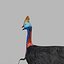 Pacote Animal Colossal HD - Animado1