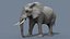 Pacote Animal Colossal HD - Animado1