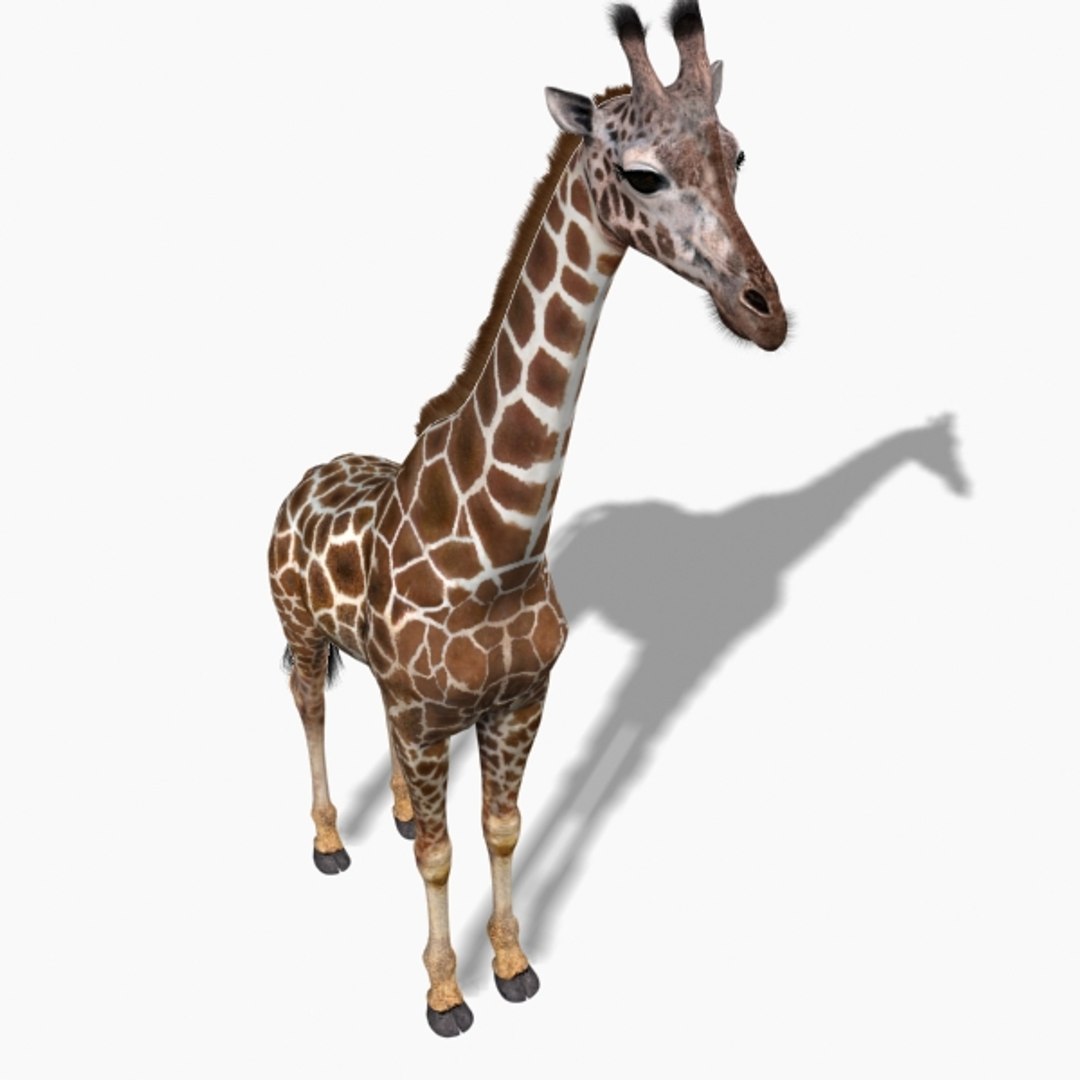 3D Colossal Animal Pack HD - Animated1 https://p.turbosquid.com/ts-thumb/2E/v8jgUP/cy/37/jpg/1662066157/1920x1080/fit_q87/a40d70bf8cbba37699189592f990b2e687c953a5/37.jpg