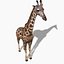 Pacote Animal Colossal HD - Animado1