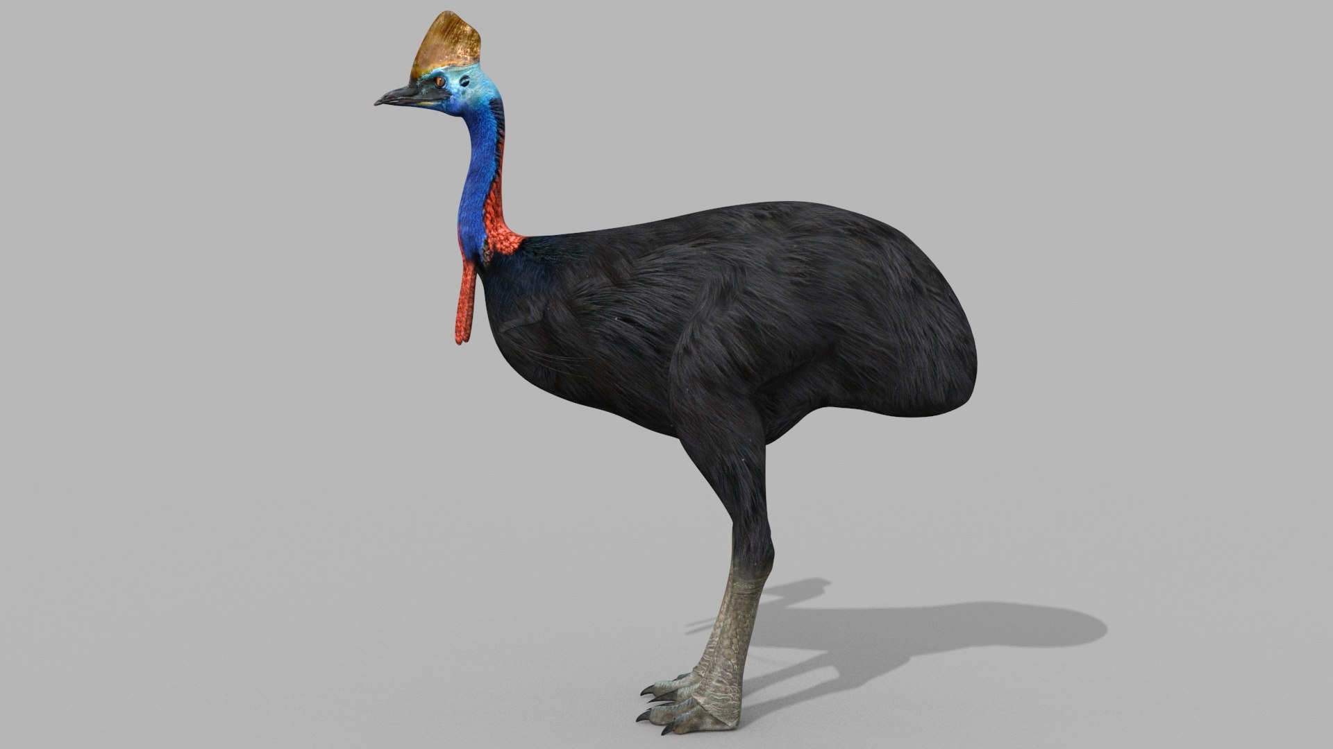 3D Colossal Animal Pack HD - Animated1 https://p.turbosquid.com/ts-thumb/2E/v8jgUP/er/30017/jpg/1708458342/1920x1080/fit_q87/c74c0ee0b431edcd36a711aec1d057c465b01cd4/30017.jpg