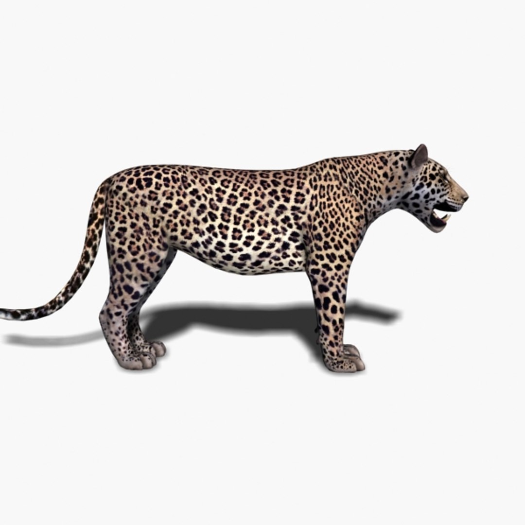 3D Colossal Animal Pack HD - Animated1 https://p.turbosquid.com/ts-thumb/2E/v8jgUP/fi/61/jpg/1662068981/1920x1080/fit_q87/7fcc32040b50c8a10ba27feb4597bbd15a59a67b/61.jpg