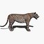Pacote Animal Colossal HD - Animado1