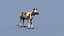 Pacote Animal Colossal HD - Animado1