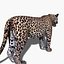 Pacote Animal Colossal HD - Animado1