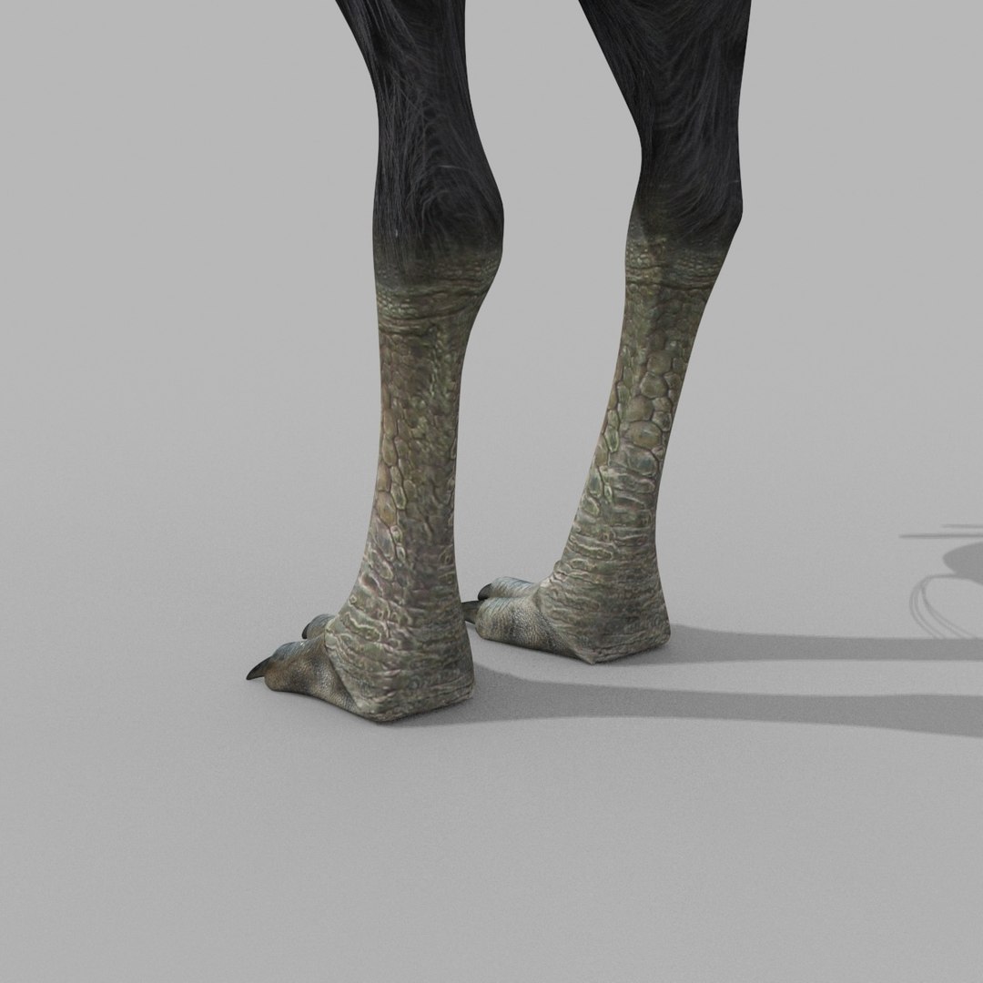 3D Colossal Animal Pack HD - Animated1 https://p.turbosquid.com/ts-thumb/2E/v8jgUP/jT/30011/jpg/1708458339/1920x1080/fit_q87/974bcac779ba160af2a7b390dec71f29fa4b3139/30011.jpg