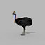 Pacote Animal Colossal HD - Animado1