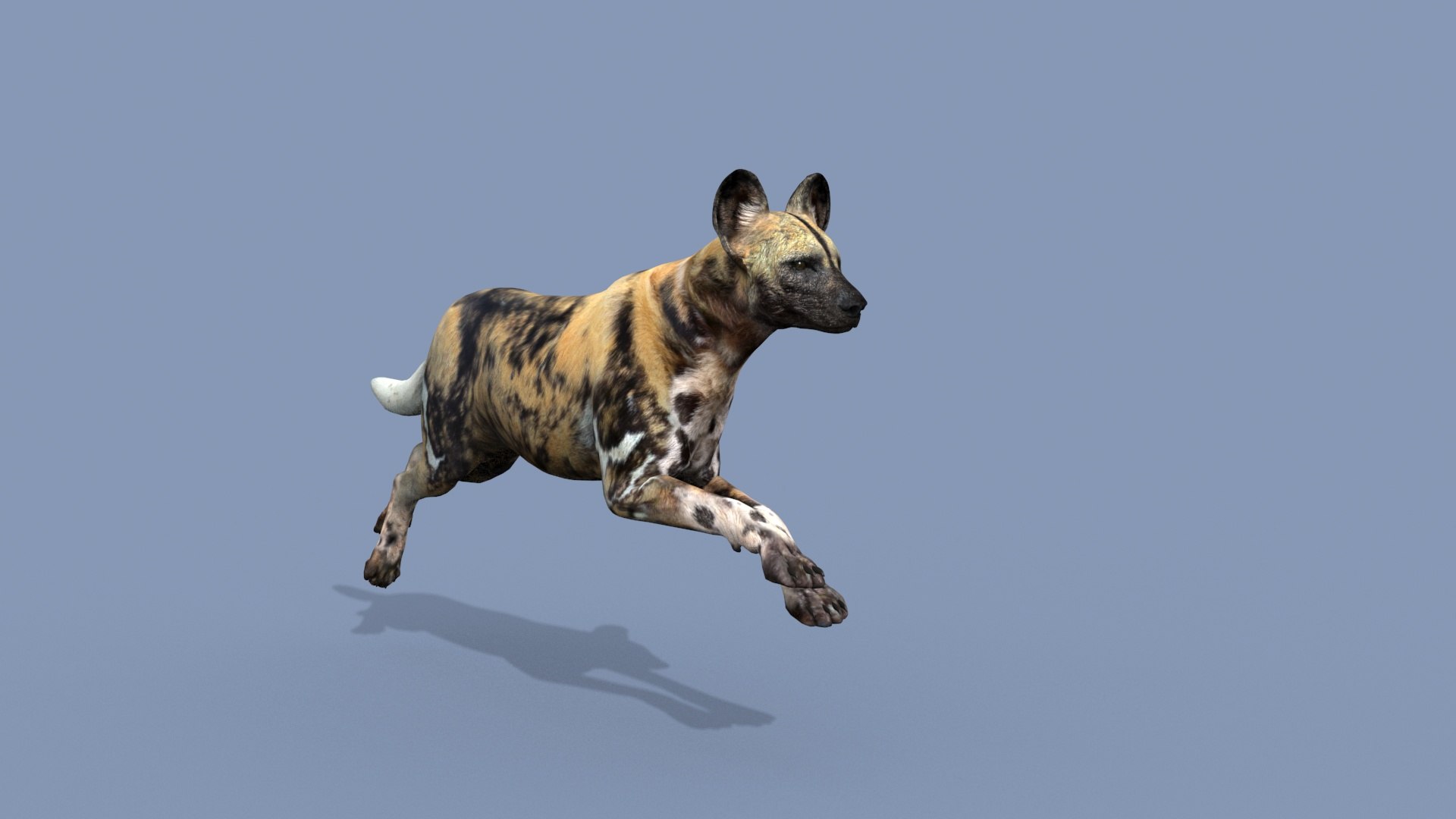 3D Colossal Animal Pack HD - Animated1 https://p.turbosquid.com/ts-thumb/2E/v8jgUP/l4/2006/jpg/1708458126/1920x1080/fit_q87/ba93852946ab6b3dd24500bca567e06c97b8ae51/2006.jpg