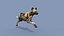 Pacote Animal Colossal HD - Animado1