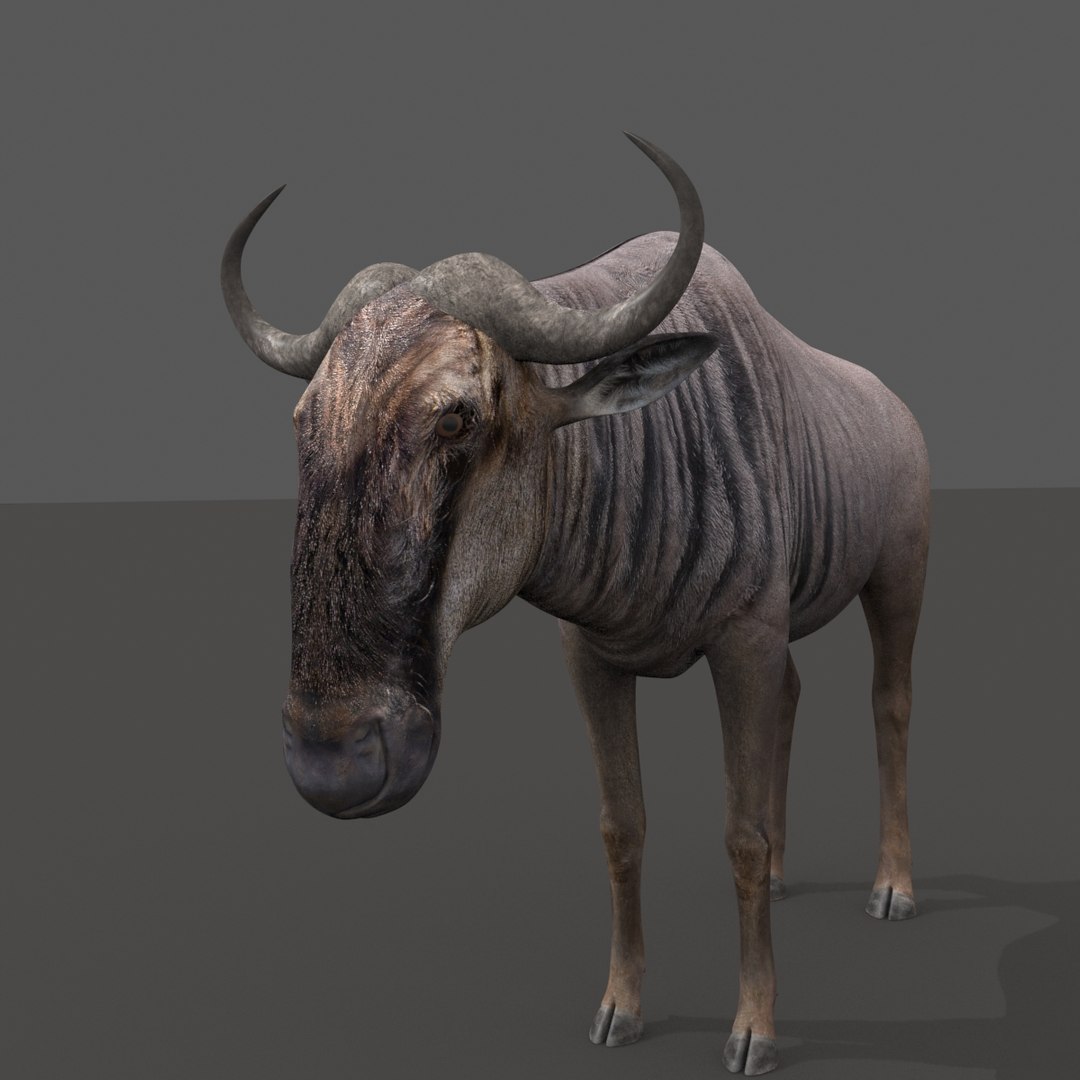 3D Colossal Animal Pack HD - Animated1 https://p.turbosquid.com/ts-thumb/2E/v8jgUP/l5/76/jpg/1662068989/1920x1080/fit_q87/3f3967fc080e7011c20d8d4e52e4b3395aabd444/76.jpg