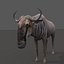 Pacote Animal Colossal HD - Animado1