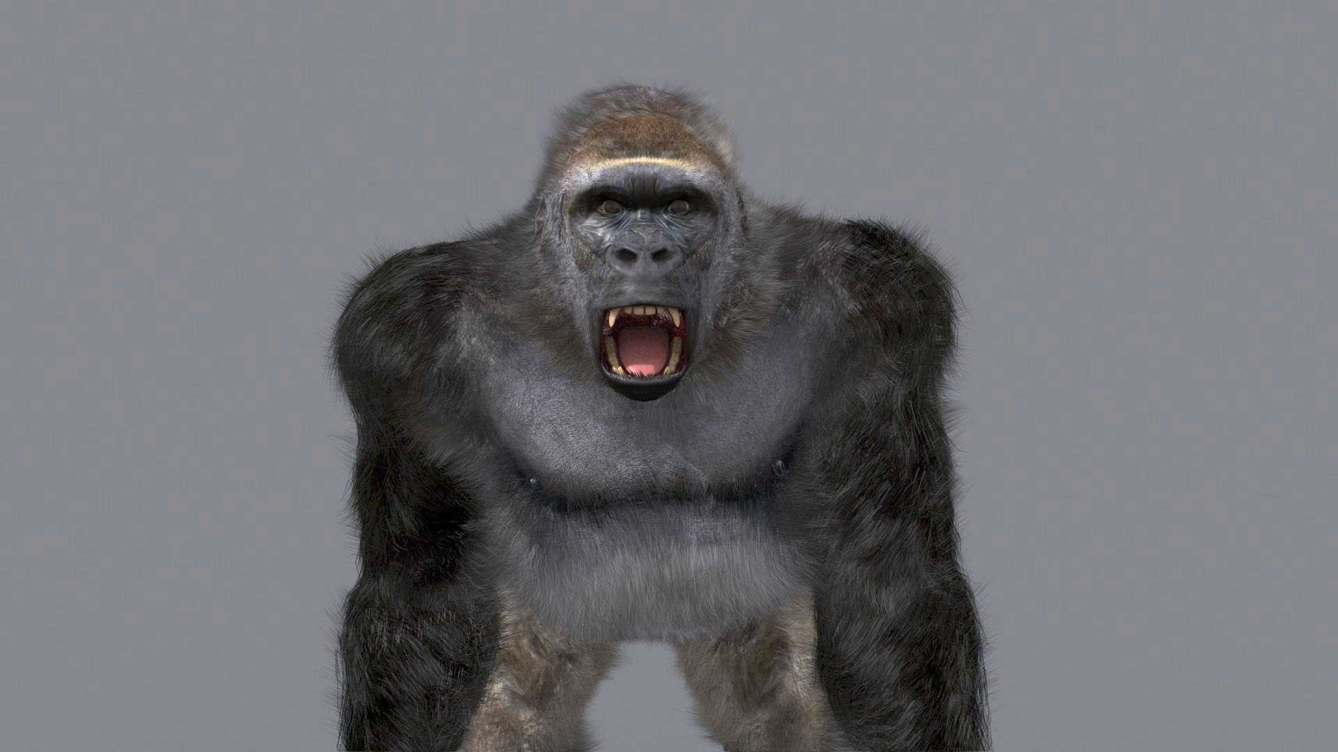 3D Colossal Animal Pack HD - Animated1 https://p.turbosquid.com/ts-thumb/2E/v8jgUP/l7/100/jpg/1708457933/1920x1080/fit_q87/d99685703a2a738f1530c9a8f6773387ca883fa2/100.jpg