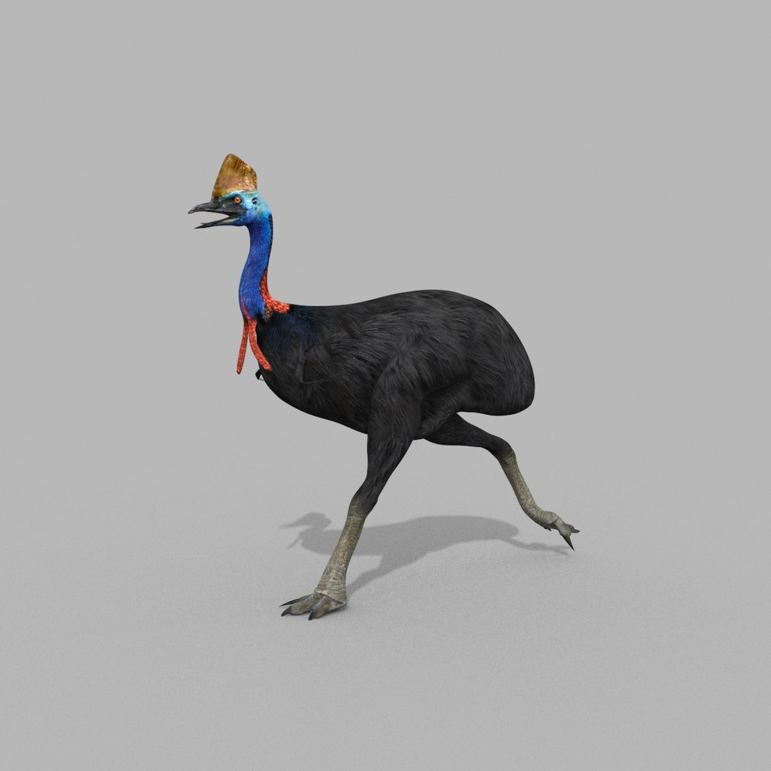 3D Colossal Animal Pack HD - Animated1 https://p.turbosquid.com/ts-thumb/2E/v8jgUP/lz/30024/jpg/1708458345/1920x1080/fit_q87/f494b245bdb162a315a001e973d060ffbe1da4d7/30024.jpg