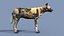 Pacote Animal Colossal HD - Animado1