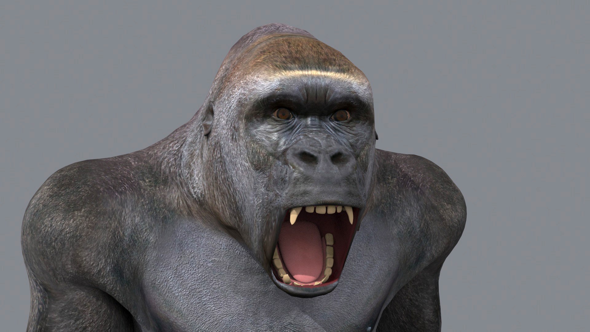 3D Colossal Animal Pack HD - Animated1 https://p.turbosquid.com/ts-thumb/2E/v8jgUP/nL/105/jpg/1708457936/1920x1080/fit_q87/78edba3004647db8e5d18b0806b2139e8b020e26/105.jpg