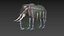 Pacote Animal Colossal HD - Animado1