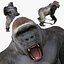 Pacote Animal Colossal HD - Animado1