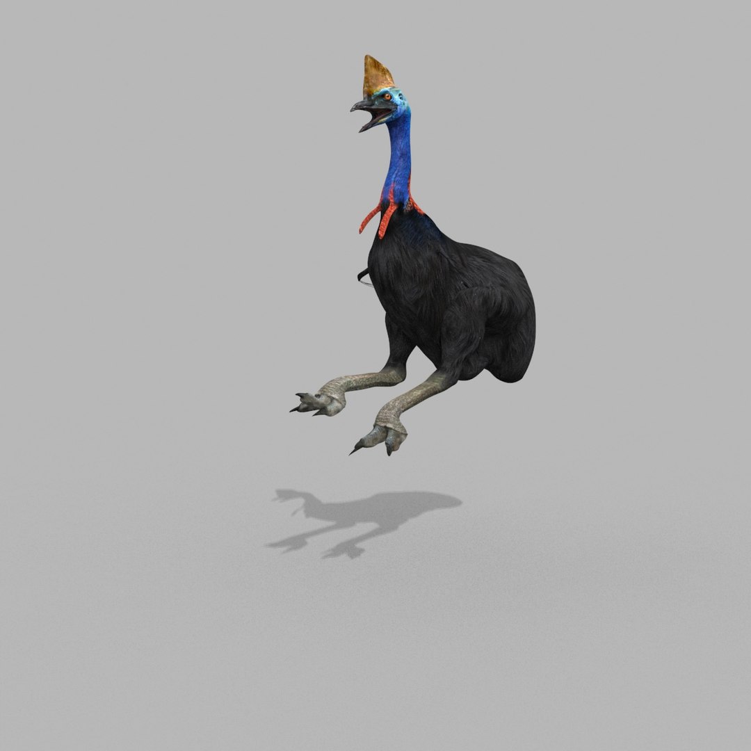3D Colossal Animal Pack HD - Animated1 https://p.turbosquid.com/ts-thumb/2E/v8jgUP/oh/30025/jpg/1708458346/1920x1080/fit_q87/7f6efcfd53f1d0052fbc788c07149d94046a9f8a/30025.jpg