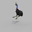 Pacote Animal Colossal HD - Animado1