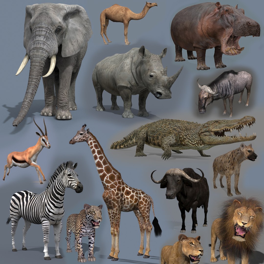3D Colossal Animal Pack HD - Animated1 https://p.turbosquid.com/ts-thumb/2E/v8jgUP/pE/000/jpg/1662065542/1920x1080/fit_q87/1d9a7d20707a8ce1f8f9ec838bb4667af415a84e/000.jpg