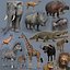 Pacote Animal Colossal HD - Animado1