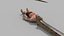 Pacote Animal Colossal HD - Animado1