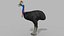 Pacote Animal Colossal HD - Animado1