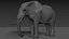 Pacote Animal Colossal HD - Animado1