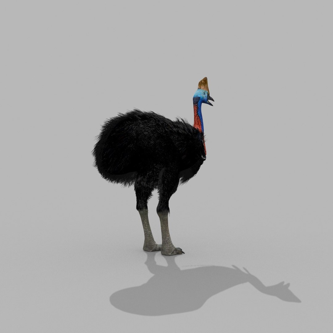 3D Colossal Animal Pack HD - Animated1 https://p.turbosquid.com/ts-thumb/2E/v8jgUP/rW/30014/jpg/1708458340/1920x1080/fit_q87/42947a729977e368ea3c5809499ad9eafaa55cab/30014.jpg