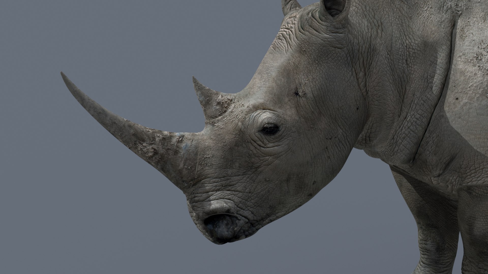 3D Colossal Animal Pack HD - Animated1 https://p.turbosquid.com/ts-thumb/2E/v8jgUP/ri/8/jpg/1662065804/1920x1080/fit_q87/90e086f00e56135da7d03289f3a9745b8a638656/8.jpg