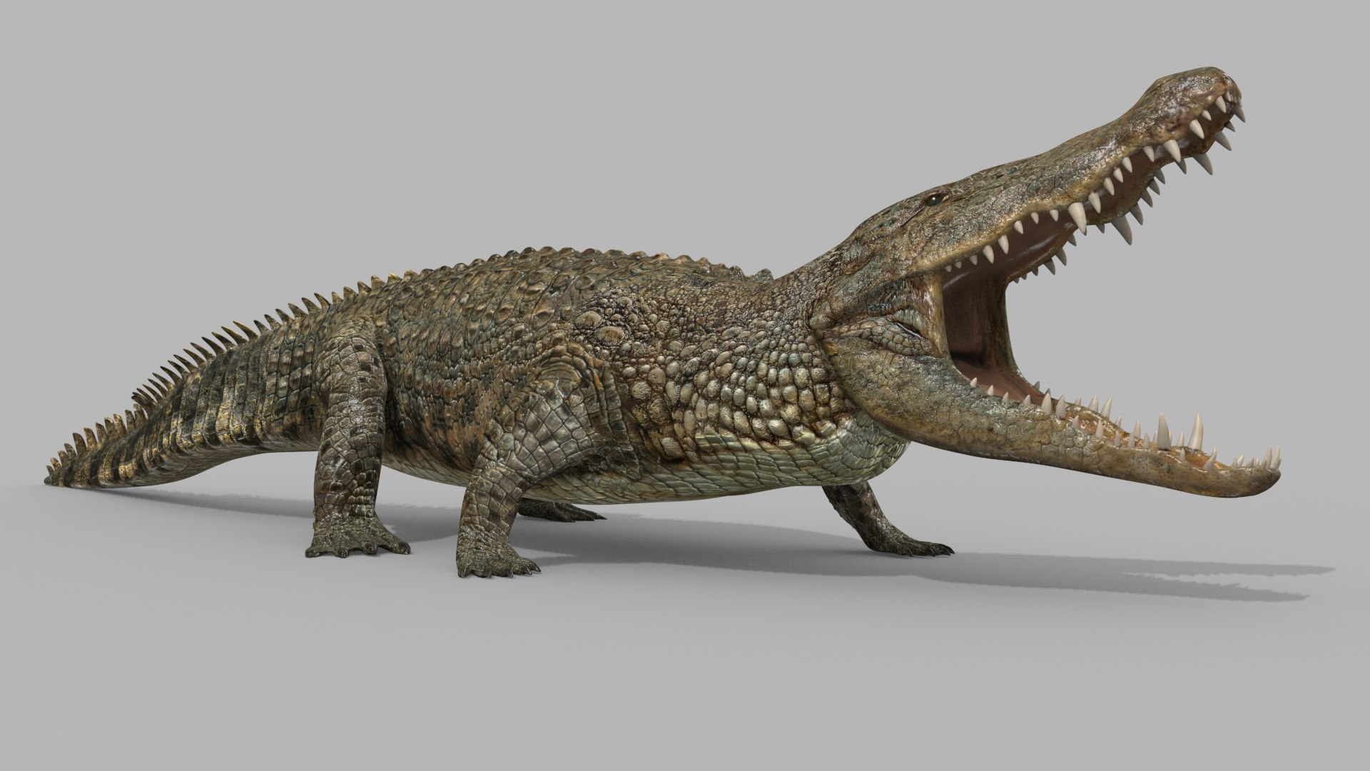 3D Colossal Animal Pack HD - Animated1 https://p.turbosquid.com/ts-thumb/2E/v8jgUP/tj/88/jpg/1662068995/1920x1080/fit_q87/f679a421096e81439c4b54817d8df2f50d016045/88.jpg