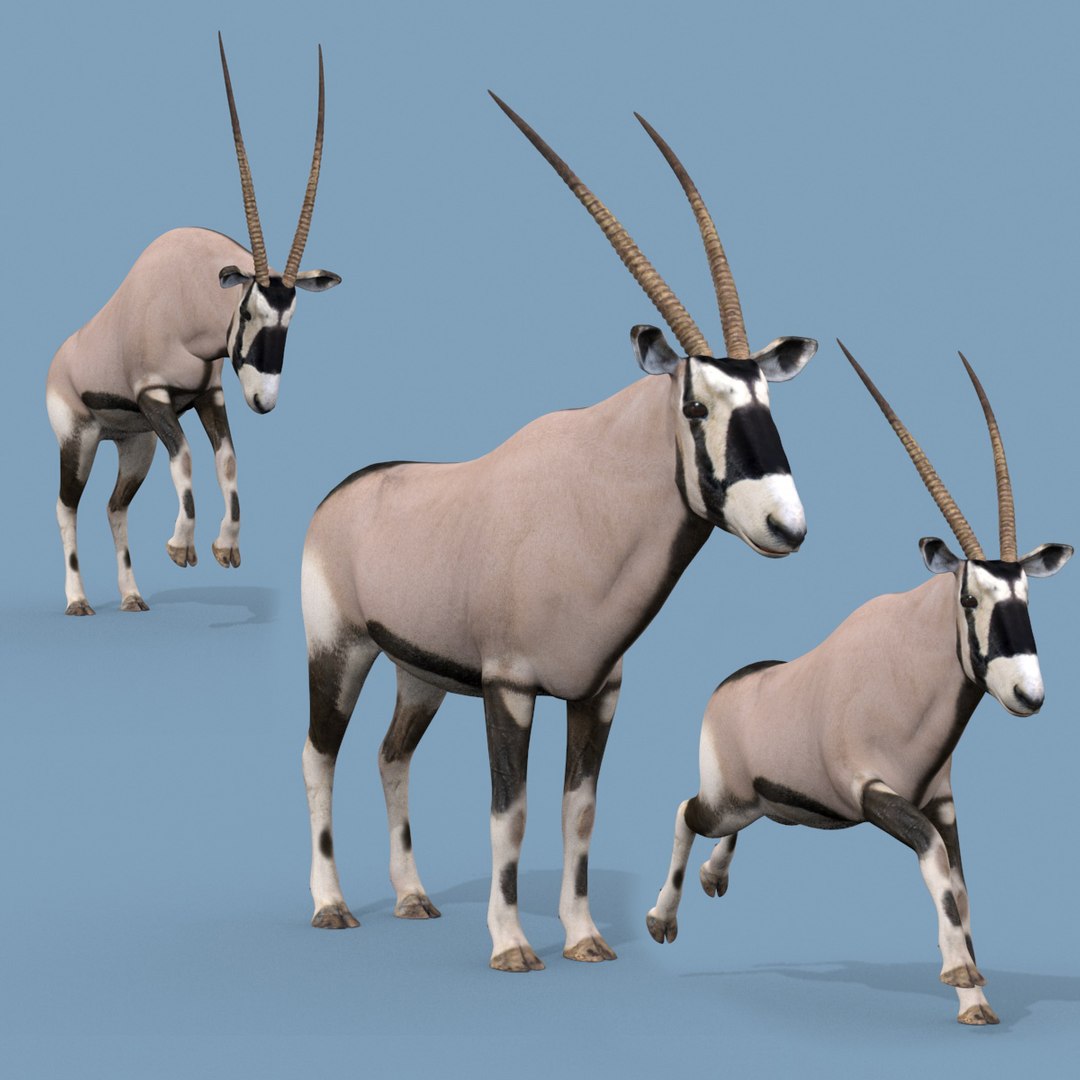 3D Colossal Animal Pack HD - Animated1 https://p.turbosquid.com/ts-thumb/2E/v8jgUP/um/z00/jpg/1714500663/1920x1080/fit_q87/a51c7248ee3ee81541131c0f699632b44231c886/z00.jpg