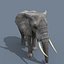 Pacote Animal Colossal HD - Animado1