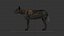 Pacote Animal Colossal HD - Animado1
