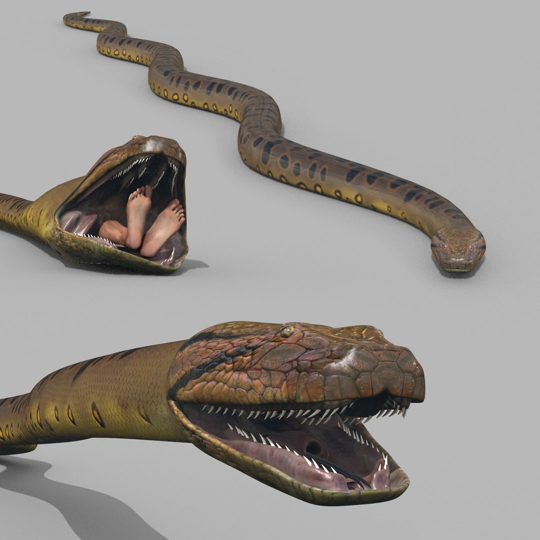 3D Colossal Animal Pack HD - Animated1 https://p.turbosquid.com/ts-thumb/2E/v8jgUP/yl/4002/jpg/1708458451/1920x1080/fit_q87/467bce8b88a38a177eba329b0272ad05ba1ba768/4002.jpg