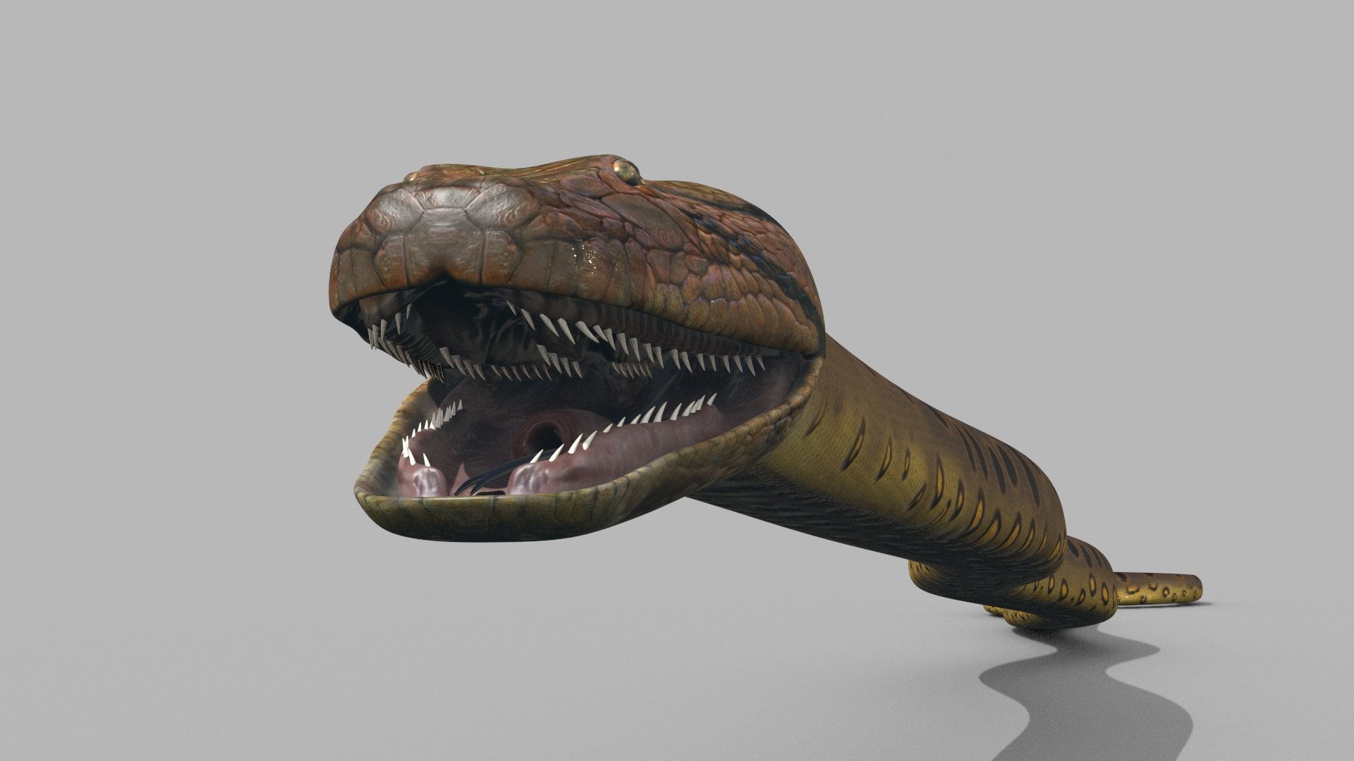 3D Colossal Animal Pack HD - Animated1 https://p.turbosquid.com/ts-thumb/2E/v8jgUP/z3/4006/jpg/1708458452/1920x1080/fit_q87/75a6495c14662c130309c295a58ce9e29f187a99/4006.jpg