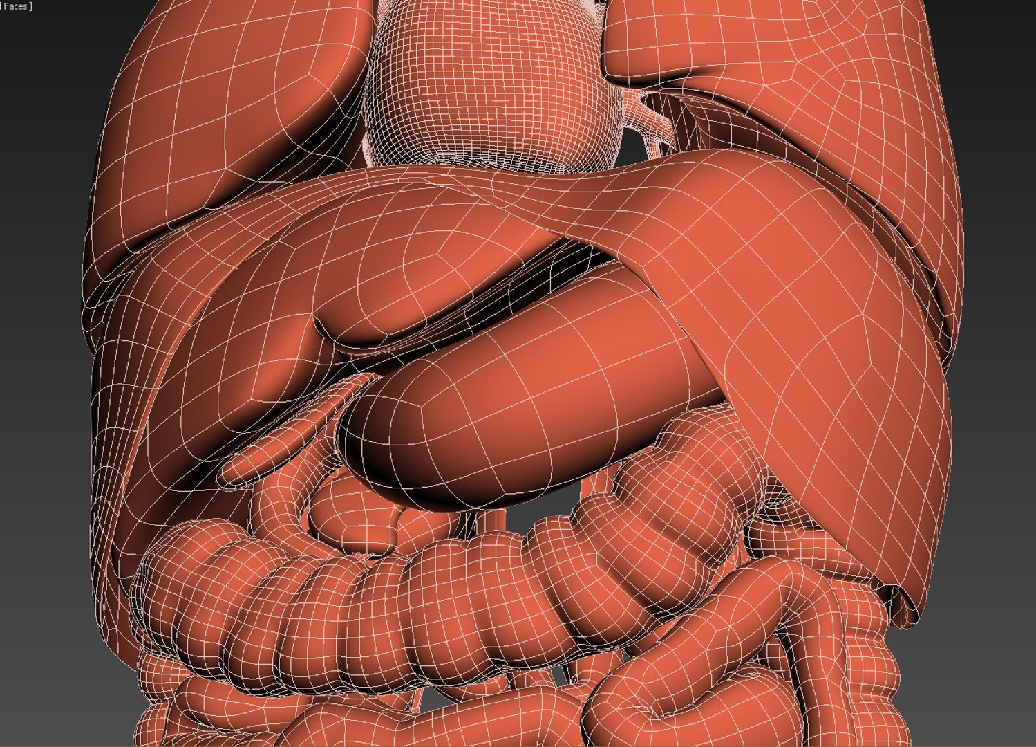 3d realistic human internal organs model https://p.turbosquid.com/ts-thumb/2F/17zEg7/EO17I7RG/wire03/png/1452056895/1920x1080/fit_q87/3ed81f10289a8e0c9d262f4854e4c8e5a295c676/wire03.jpg