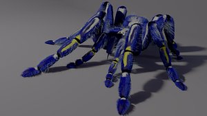 Freaky blue spider