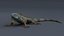 Iguana 3D